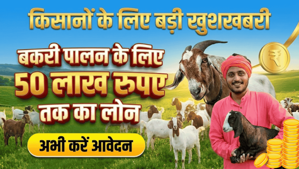 Bakri Palan Loan