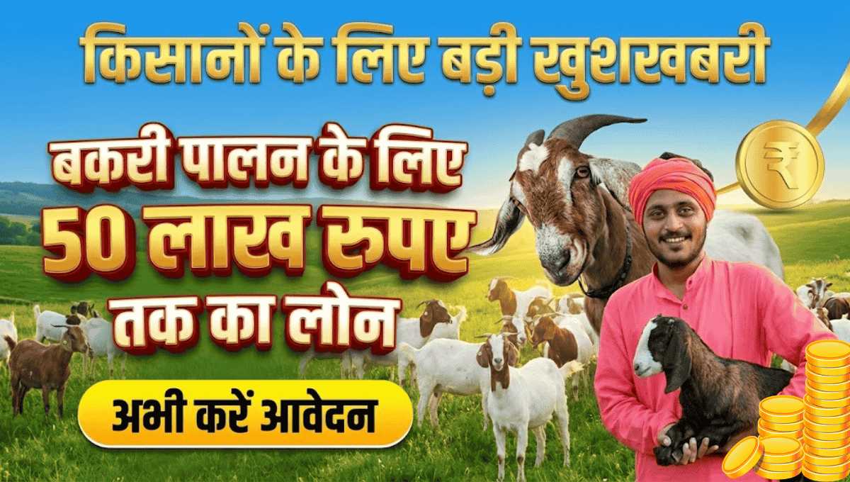 Bakri Palan Loan